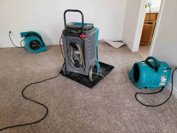 Best Residential water damage restoration  in Hamlin, WV