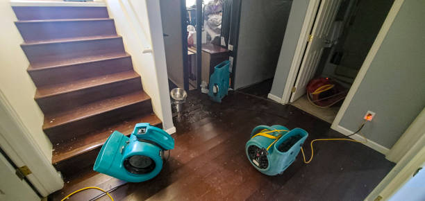 Best Water damage restoration near me  in Hamlin, WV