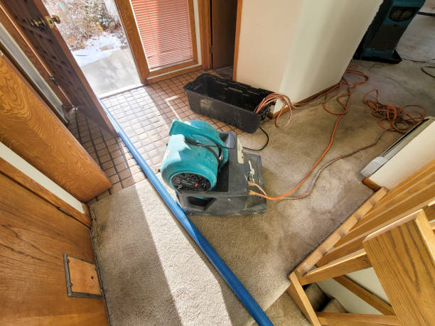 Best Commercial water damage restoration  in Hamlin, WV