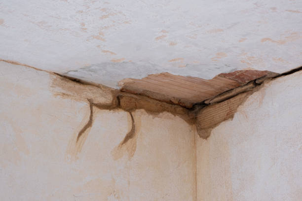 Best Sewage cleanup and water damage restoration  in Hamlin, WV