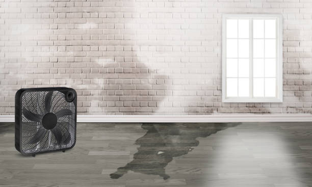 Best 24/7 water damage repair  in Hamlin, WV