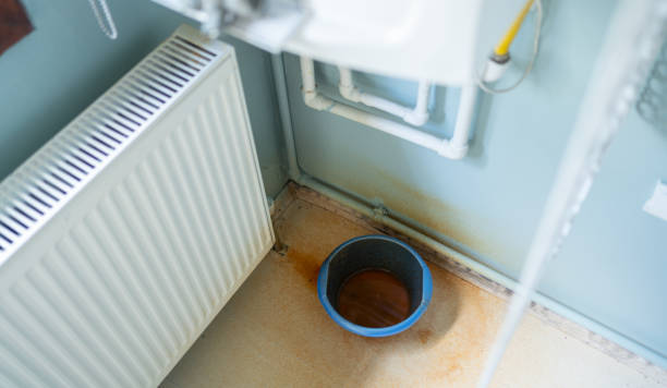 Best Flood damage cleanup  in Hamlin, WV