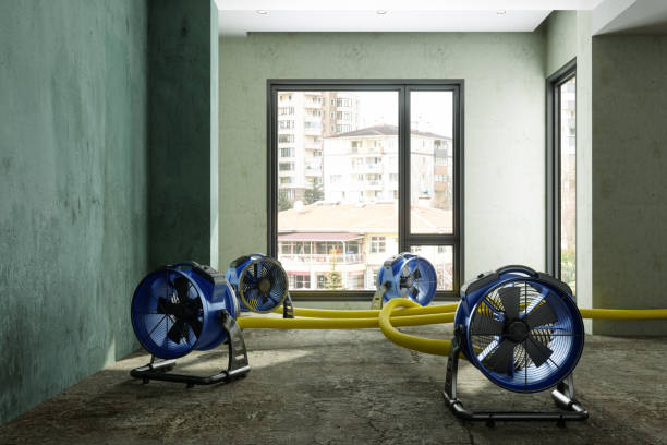 Best Water damage contractors near me  in Hamlin, WV